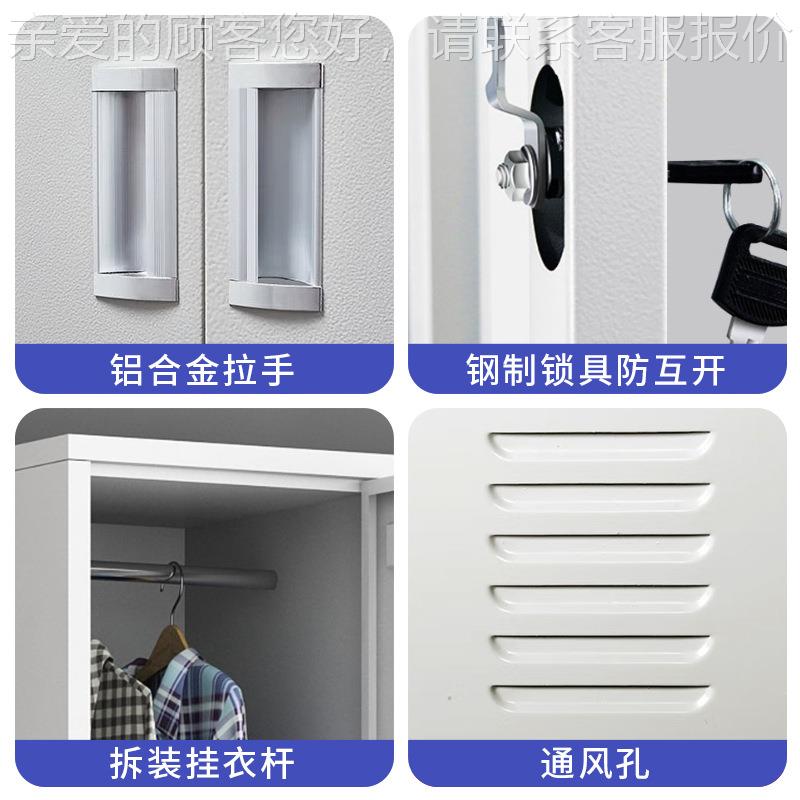 铁皮衣柜工厂LYZX-231员工宿身房储物柜二门四舍门健钢制更更衣柜