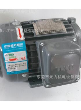 东元高效率电机马AE达VFF3立式安装（国中区营AEVFVS-F心销中）