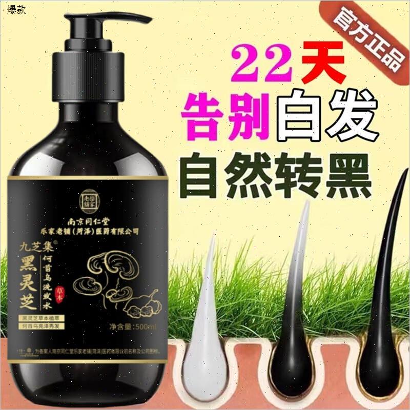 何首乌白发养黑洗发水黑灵芝侧柏叶去屑纯植物精华液n