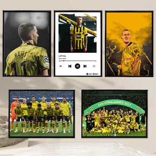 多特蒙德罗伊斯装饰画相框海报挂画铝合金实木照片墙摆挂框壁画