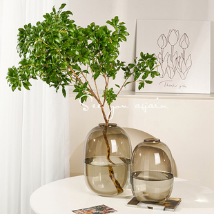 高级感瓶客厅插玻璃水培马醉木雪柳吊钟南天竹落地装饰品