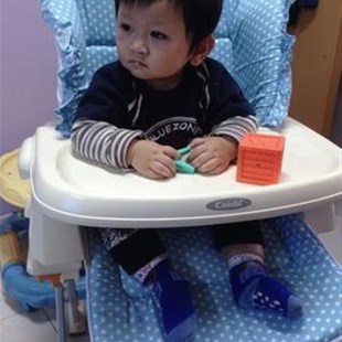 订做 omi康贝 i 阿普丽佳 爱音ING 儿童餐椅垫替换垫