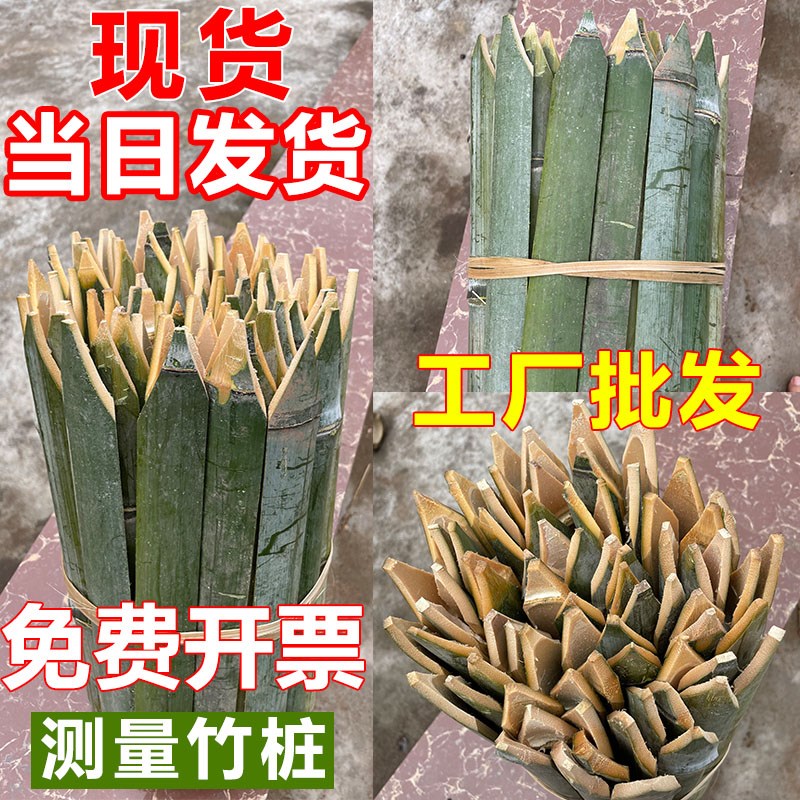 工地放样放线竹片桩地插竹片桩测量工程测绘竹签竹条一头尖竹片桩
