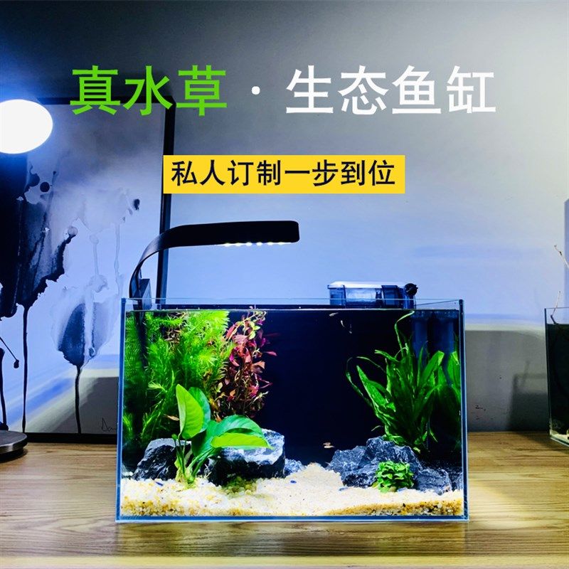 小智世界水草鱼缸水族箱静音小型桌面免换水生态造景家用超白玻璃,宠物/宠物食品及用品,桌面缸,淘宝优惠券,粉丝福利购,淘宝优惠卷