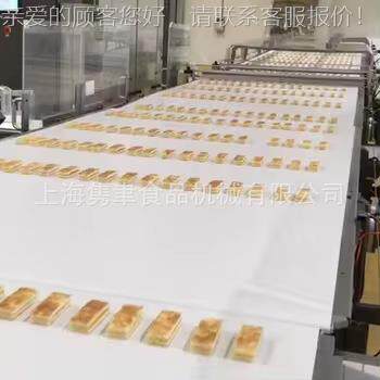 半自动乳酪蛋器糕制造WYK机 糕出口专制用肉松蛋卷造成型机 上海