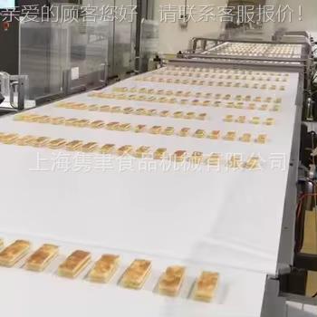 半自动乳酪蛋器糕制造WYK机 糕出口专制用肉松蛋卷造成型机 上海