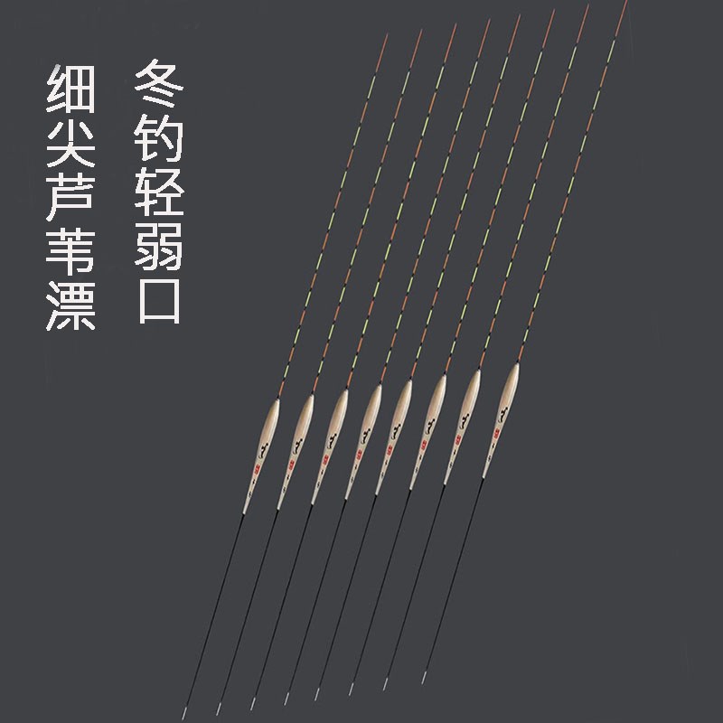 芦苇浮漂小碎目浮标轻猾口黑坑鲤鱼鲫鱼漂高灵敏醒目轻口品牌鱼漂