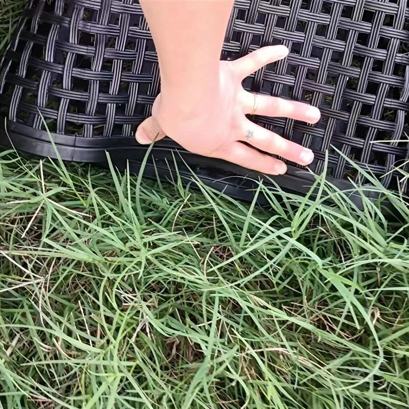 自行车篮塑料加厚 菜篮子加大通用前置车筐女式车前筐彩色塑料菜