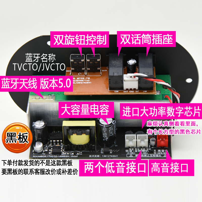 双话筒大功率蓝牙功放板12V24V220V低音炮功放板音箱主板车载通用
