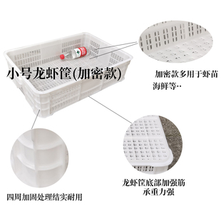 带盖龙虾筐加厚周转筐长方形水果框小号龙虾苗筐塑料周转筐水产筐