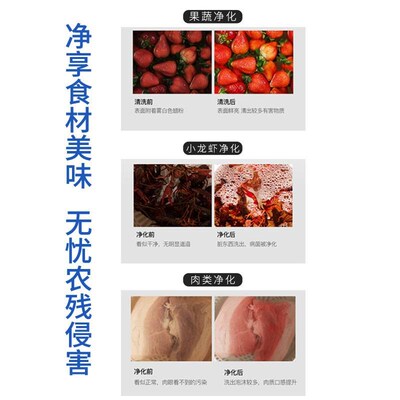 果蔬洗水果蔬菜解毒去农残除菌净化自动氧消毒