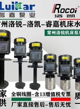 Lui睿嘉ooi洛凯N加工中心压水泵LD