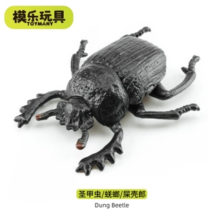 模乐玩具TOYMANY圣甲虫屎壳郎仿真动物昆虫甲虫模型蜣螂儿童玩具