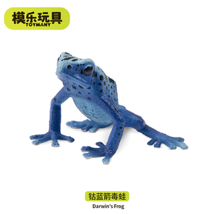 模乐玩具TOYMANY仿真动物模型树蛙青蛙玩具钴蓝箭毒蛙儿童认知