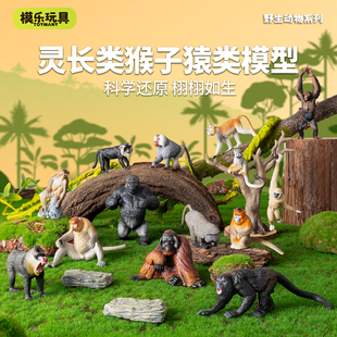 模乐玩具TOYMANY灵长类野生仿真动物模型猴子大猩猩狒狒猿类玩具