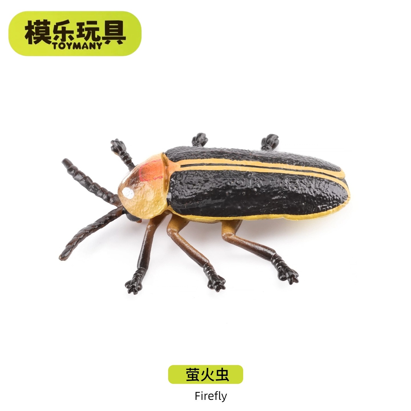模乐玩具TOYMANY萤火虫仿真动物昆虫甲虫模型仿生儿童玩具,玩具/童车/益智/积木/模型,仿真/动物玩偶,淘宝优惠券,粉丝福利购,淘宝优惠卷