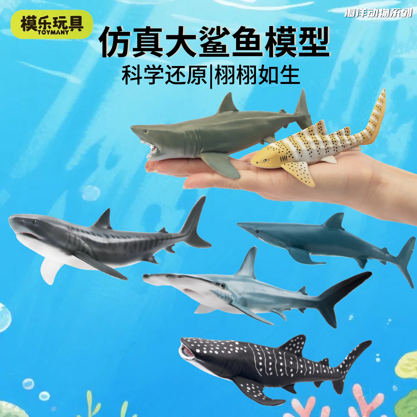 模乐玩具TOYMANY海洋生物系列仿真动物模型鲨鱼白鲨虎鲨儿童玩具