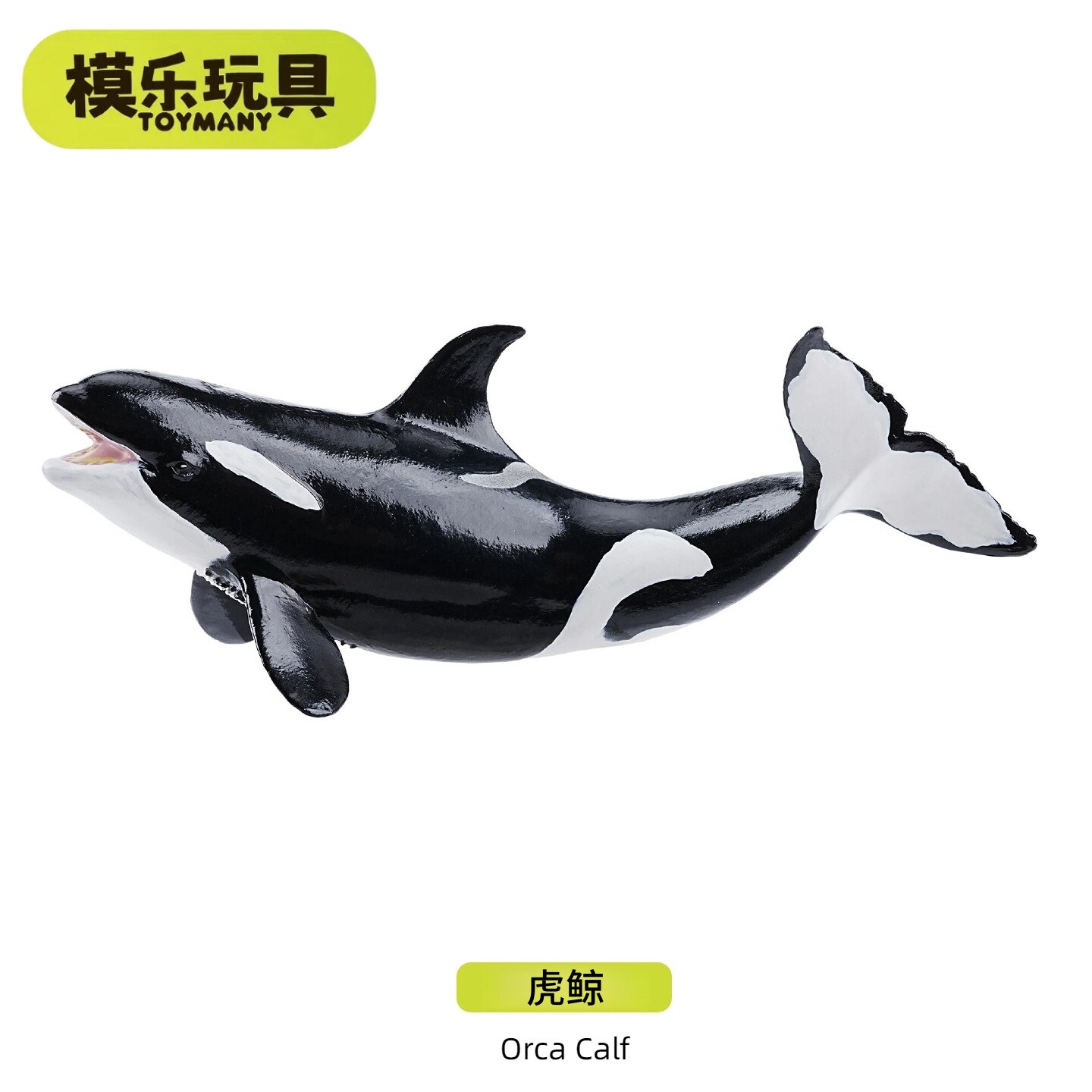 模乐玩具TOYMANY迷你虎鲸海洋生物系列仿真动物模型杀人鲸