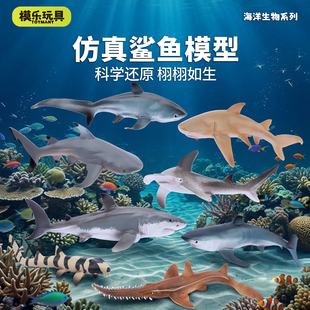 模乐玩具TOYMANY海洋生物系列仿真动物模型鲨鱼白鲨双髻鲨玩具