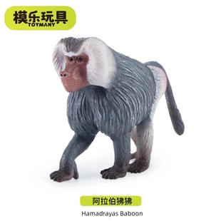 模乐玩具TOYMANY阿拉伯狒狒灵长类系列野生仿真动物模型儿童玩具