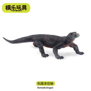 模乐玩具TOYMANY野生爬行仿真动物模型儿童蜥蜴玩具科莫多巨蜥