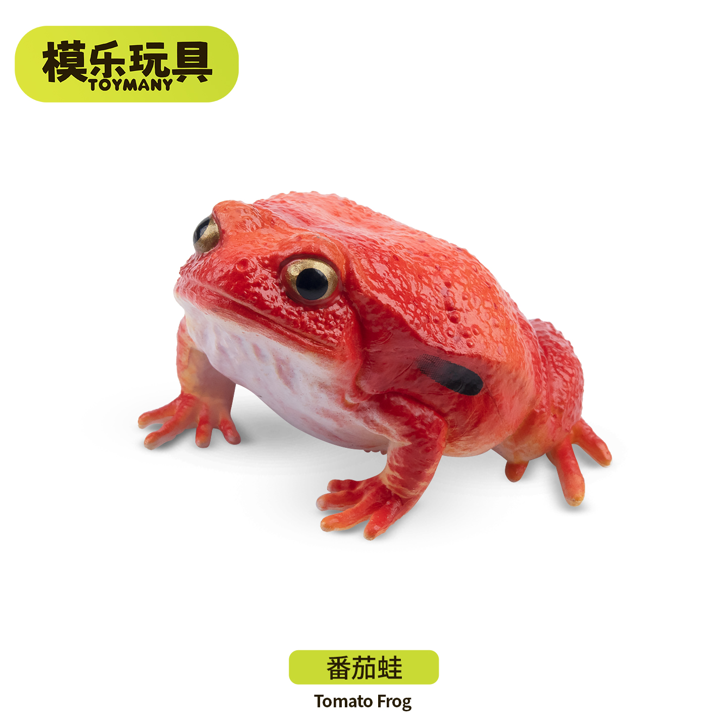 模乐玩具TOYMANY马达加斯加野生仿真动物模型番茄蛙儿童玩具