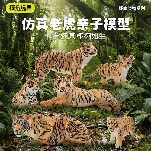 TOYMANY仿真老虎动物模型套装