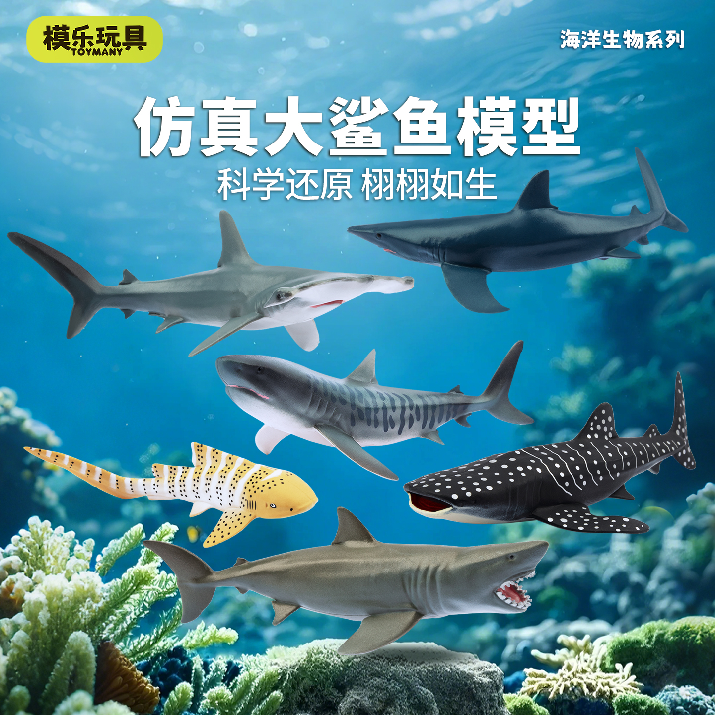 模乐玩具TOYMANY海洋生物系列仿真动物模型鲨鱼白鲨虎鲨儿童玩具