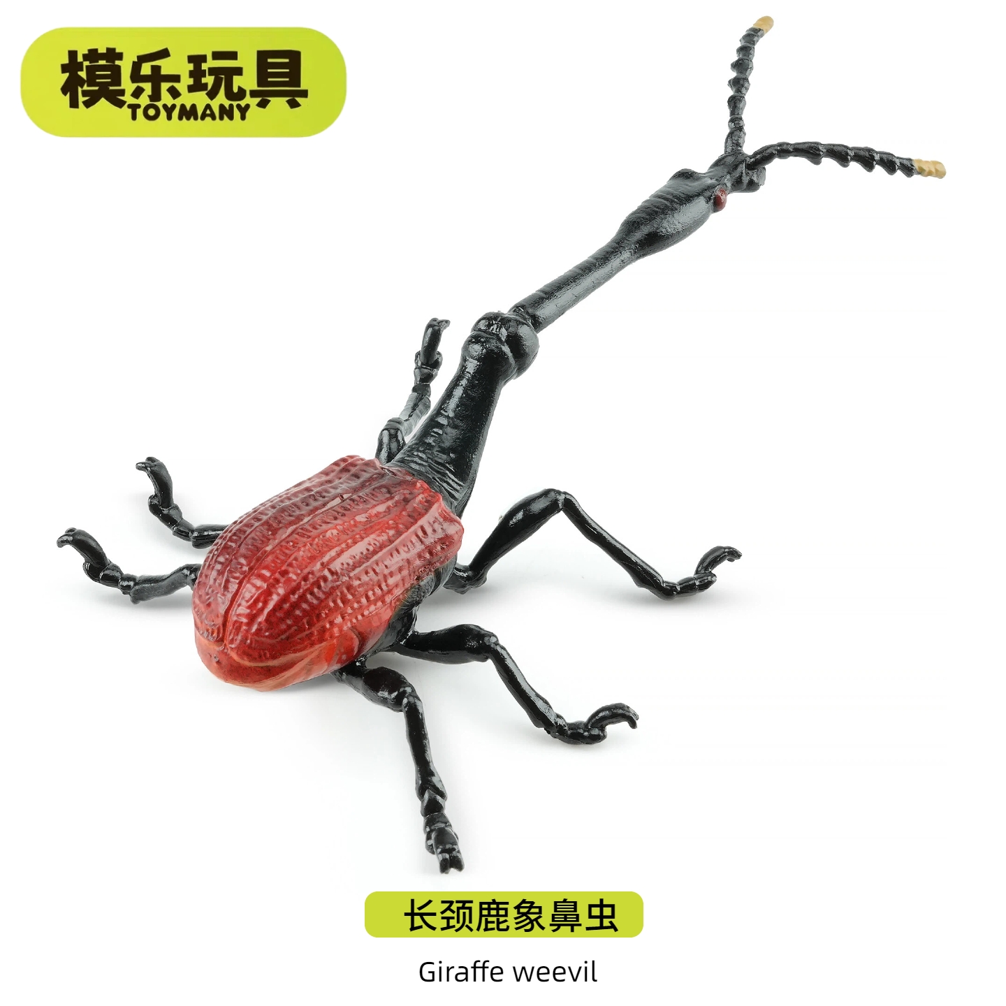 模乐玩具TOYMANY长颈鹿象鼻虫仿真动物昆虫甲虫模型仿生儿童玩具