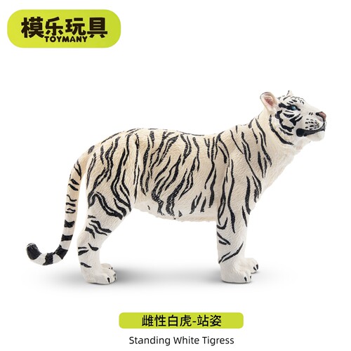 TOYMANY正品雌性母白虎模型