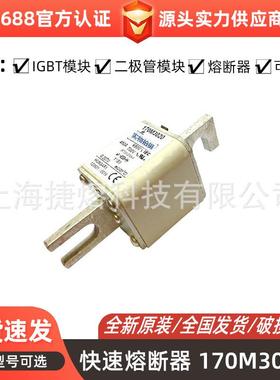 170M3020170M3021170M3023直流熔断器电子元器件库存充足