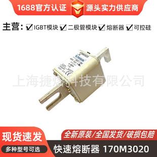 170M3020170M3021170M3023直流熔断器电子元 器件库存充足
