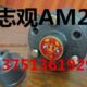 双向转AM2正 转润滑泵抽油泵AM2F AM2反正逆 A志观 台湾头 泵