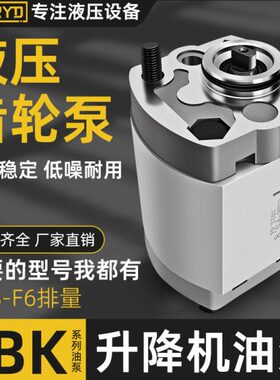 /./齿轮泵/21//1微压4/.62.50.K-F0B.6.3.2C5872./183/.0/31../