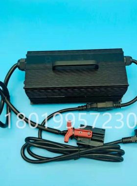 杭叉杭州电动叉车锂电搬运车CBD15-AMC1LI充电机充电器24V20A配件