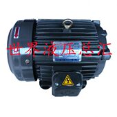 53k.w 1.S2.75B C543 25.5Y群策电机w7 w马达0k75 03wkkw