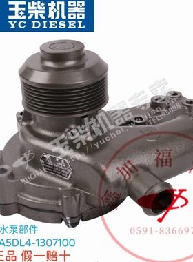 玉柴原厂YC6A发动机A5DL4-1307100水泵总成国五国六电喷客货车