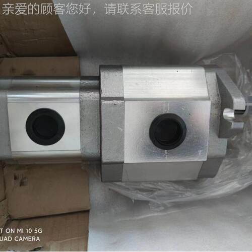 联5MAGA-102齿轮泵CBQL-F5420/F5-CF双H,CBQL-F540/F532-CFH