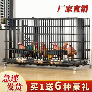鸡笼子家用室内下蛋养鸡笼滚蛋小号大号特大号鸡窝鸡舍折叠养殖笼