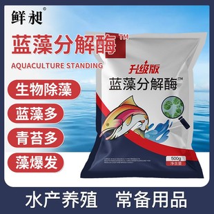 蓝藻分解素水产养殖灭分解除蓝藻鱼虾蟹塘水草蓝藻净杀生物除藻剂