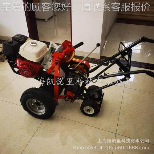 WORLD DWQ-96250 草坪草起皮机 推式大功率GX270动力手草坪机械
