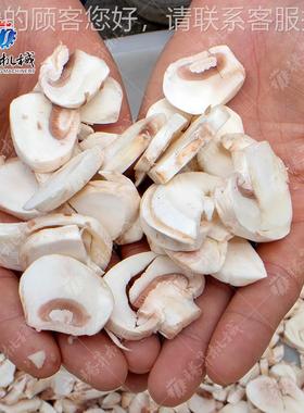 香菇子菇滑猴头白菇草灵菇鸡腿菇切菇割 腾昇香ZVB菇切片机