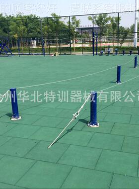 河北厂特训器械地地面拓00543展器械梅花桩面荡木桥器地面拓展器
