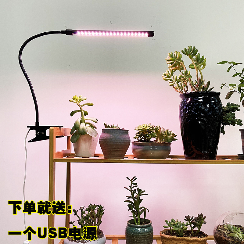 多肉补光增色灯定时USB夹子式上色全光谱LED花卉盆景植物灯生长灯