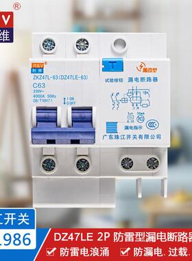 珠江开关(利维牌)DZ47LE2P6-63A塑壳断路器漏电空气开关