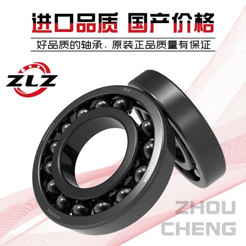 德国进口耐高温轴承970403 970404 970405 970406 970407 970408
