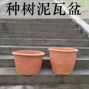 中国风特大土四方瓦盆透气君子兰专用兰花果树大号 泥瓦盆花盆老式