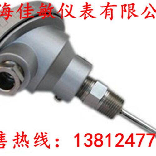管道专用PT100/PT1000热电阻温度监视器 温度感测器WZP-231佳敏