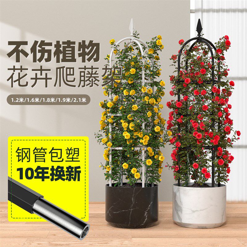 欧式玫瑰花架柱形爬藤支架月季蔷薇铁线莲攀爬架庭院阳台花架