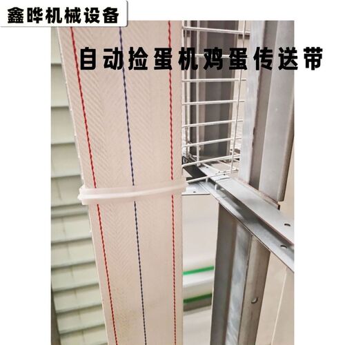 蛋鸡养殖全自动鸡蛋输送带捡蛋带鸡蛋集蛋带养殖场鸡蛋传送带